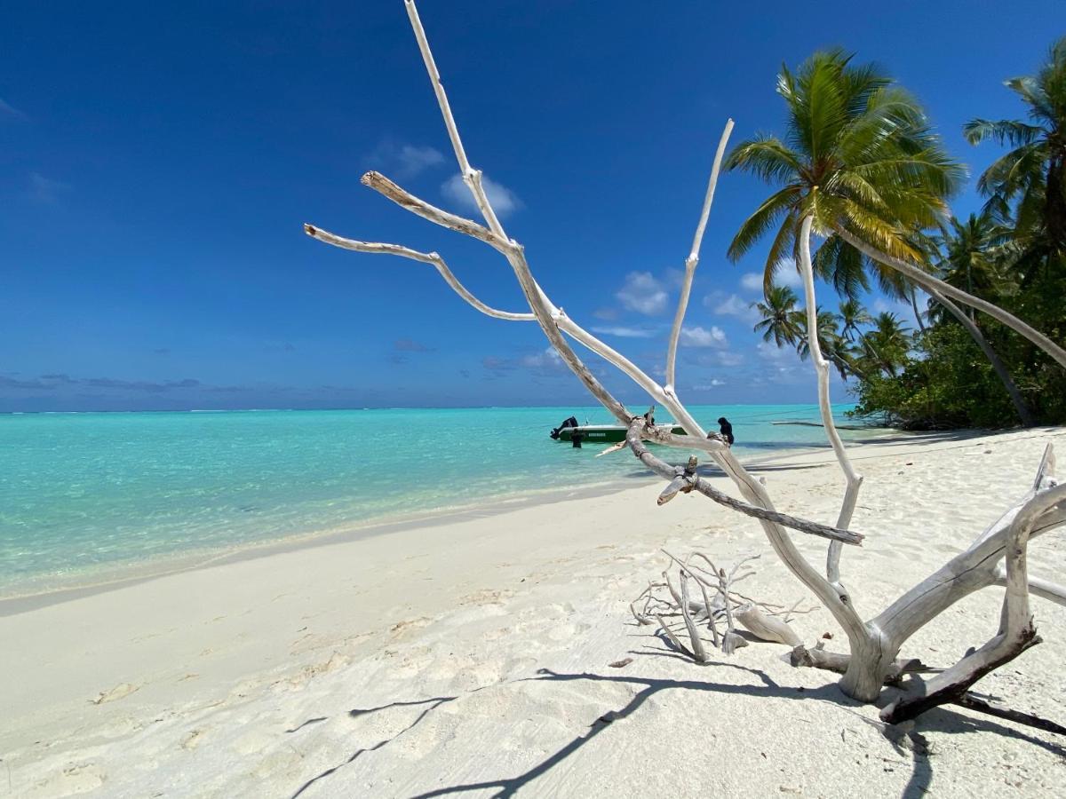 Alimas Holiday Retreat Maldives Felidhoo Exterior photo