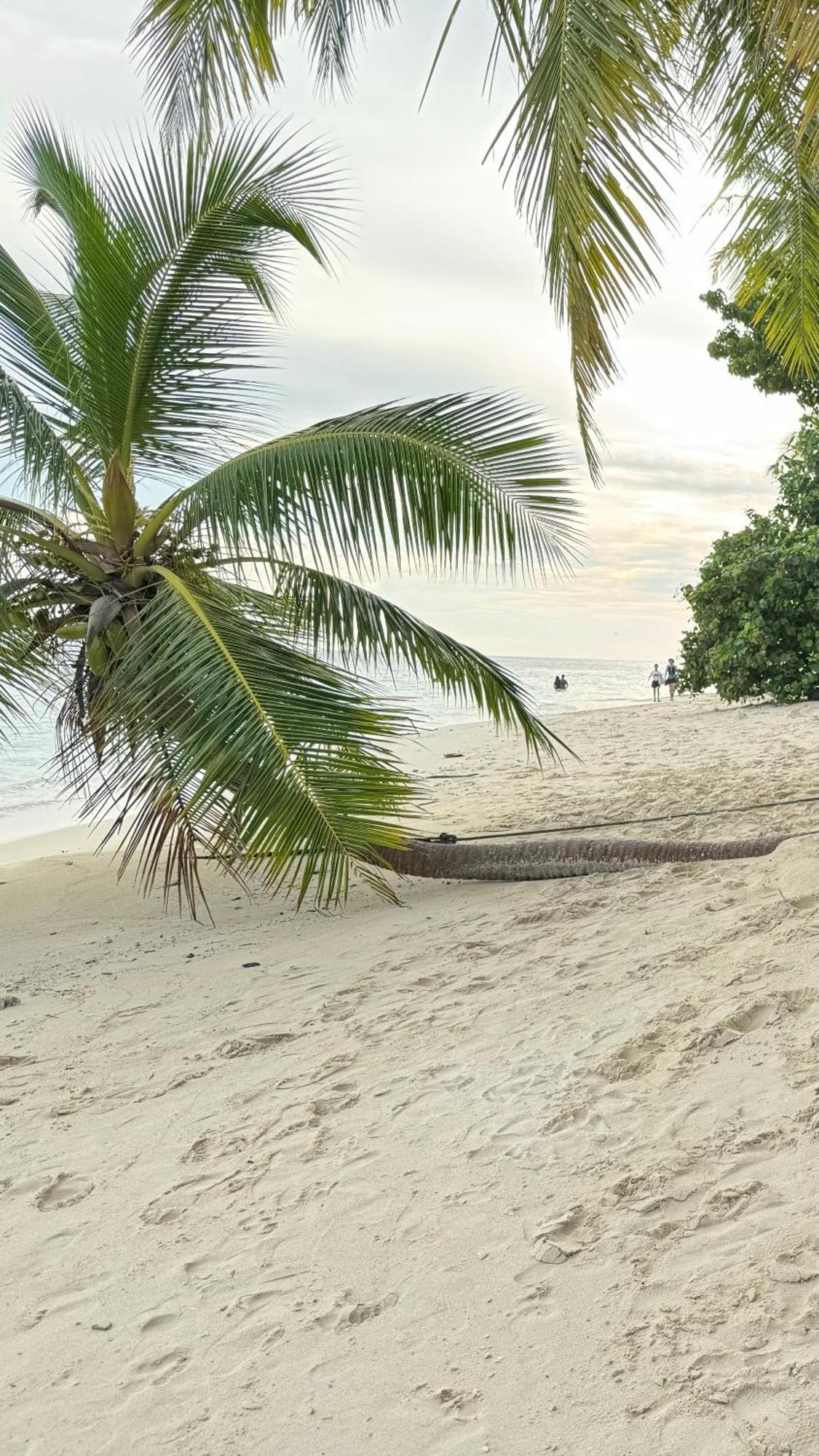 Alimas Holiday Retreat Maldives Felidhoo Exterior photo